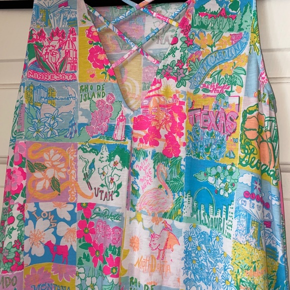 Kristen swing dress in Lilly State of Mind - Picture 5 of 5